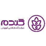 گندم